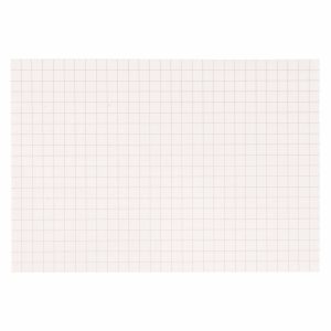 Papel Cuadriculado: 10 mm (250)