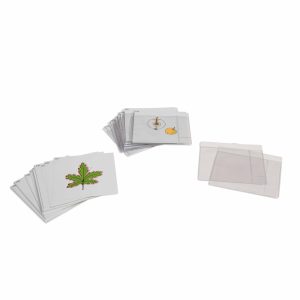 Tercer Juego de Tarjetas de Botánica
