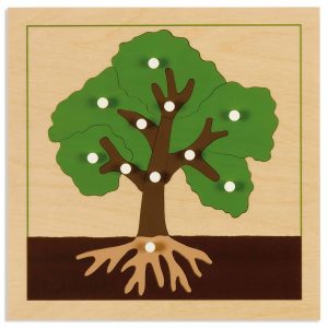 Puzzle Botánico: Árbol