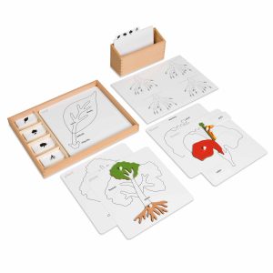 Set de Actividades para Puzzles Botánicos