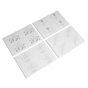 Puzzle Botánico: Hojas de Copia