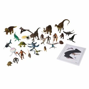 Animales y Libro para La Cinta Negra